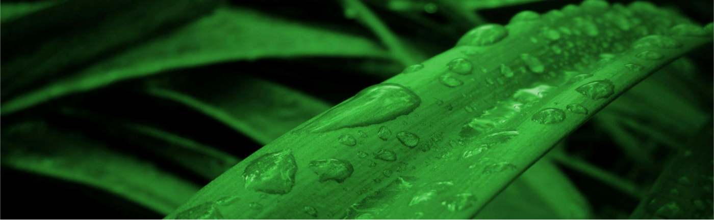 Алоє з краплями води